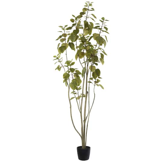 6ft. Potted Green Smoke Tree